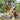 Watersport